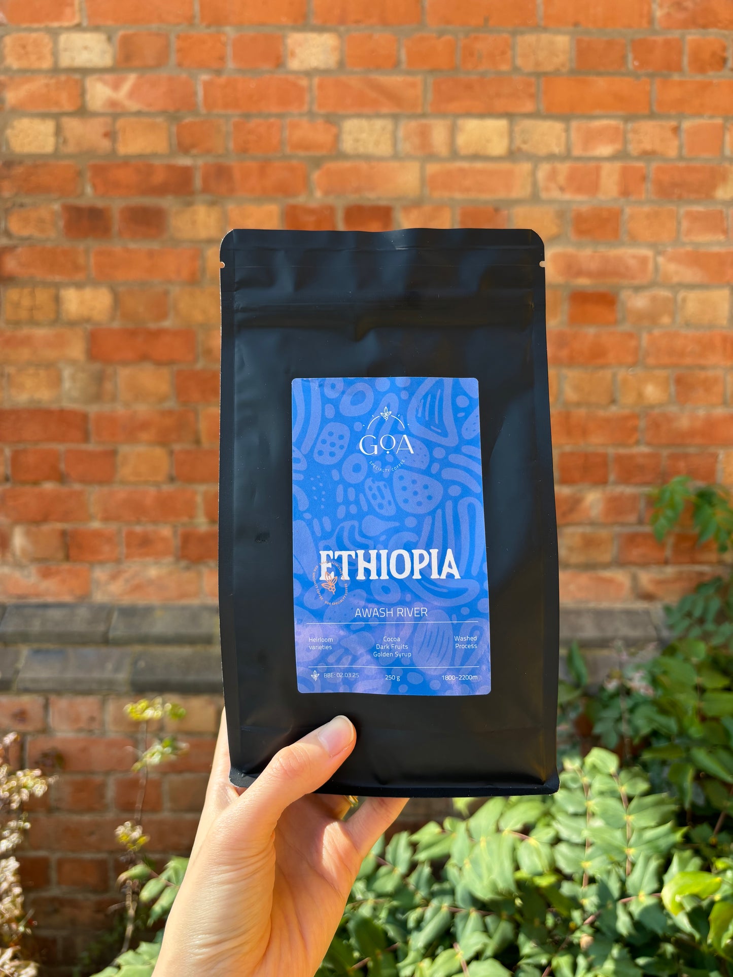 ETHIOPIA- AWASH RIVER