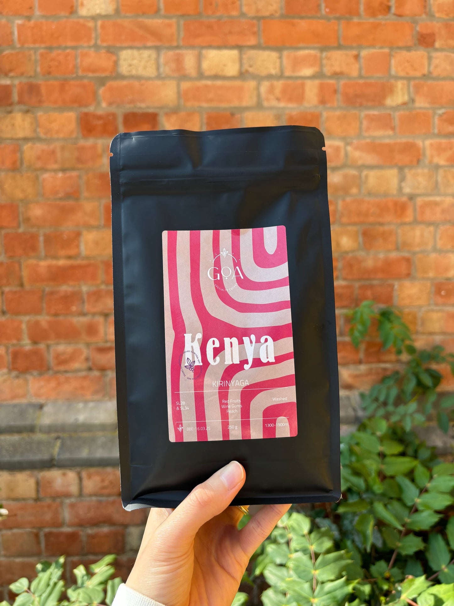 KENYA - KYRINIAGA