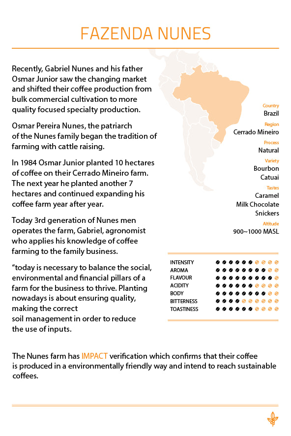 Description of Fazenda Nunes coffee highlighting caramel, milk chocolate, and snickers notes, sustainably grown in the Cerrado Mineiro region.