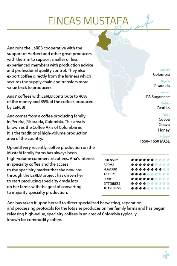 Description of Fincas Mustafa coffee with cocoa, guava, and honey notes, sustainably grown in the Risaralda region.